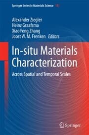 Cover von In-situ Materials Characterization