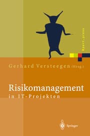 Cover von Risikomanagement in IT-Projekten