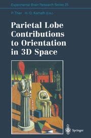 Cover von Parietal Lobe Contributions to Orientation in 3D Space