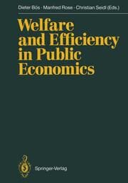 Cover von Welfare and Efficiency in Public Economics