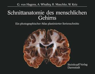Cover von Schnittanatomie des menschlichen Gehirns