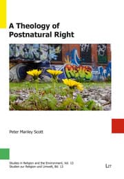 Cover von A Theology of Postnatural Right