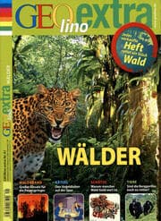 Cover von Wälder