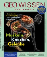 Cover von Muskeln, Knochen, Gelenke