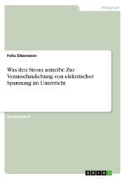 Cover von Was den Strom antreibt: Zur Veranschaulichung von elektrischer Spannung im Unterricht