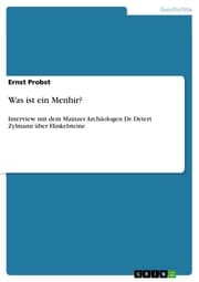 Cover von Was ist ein Menhir?