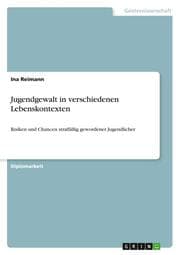 Cover von Jugendgewalt in verschiedenen Lebenskontexten