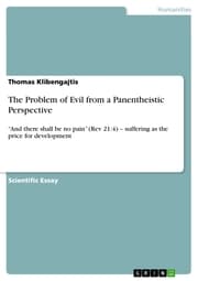 Cover von The Problem of Evil from a Panentheistic Perspective