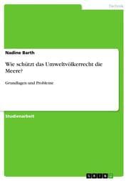 Cover von Wie schützt das Umweltvölkerrecht die Meere?