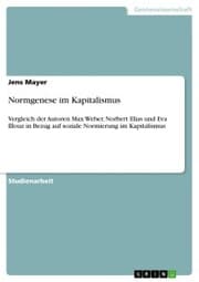 Cover von Normgenese im Kapitalismus