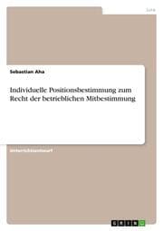 Cover von Individuelle Positionsbestimmung zum Recht der betrieblichen Mitbestimmung