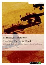 Cover von Sturzflüge für Deutschland