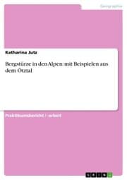 Cover von Bergstürze in den Alpen: mit Beispielen aus dem Ötztal