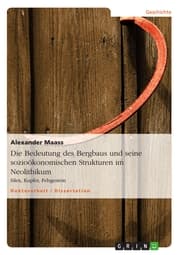 Cover von Die Bedeutung des Bergbaus und seine sozioökonomischen Strukturen im Neolithikum