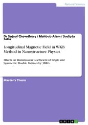 Cover von Longitudinal Magnetic Field in WKB Method in Nanostructure Physics