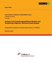 Cover von Analyse eines branchenspezifischen Marktes und Erarbeitung möglicher Markteintrittsstrategien