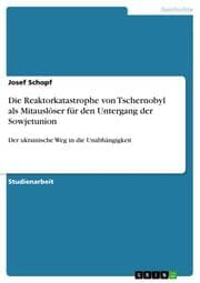 Cover von Die Reaktorkatastrophe von Tschernobyl als Mitauslöser für den Untergang der Sowjetunion