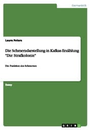 Cover von Die Schmerzdarstellung in Kafkas Erzählung 'Die Strafkolonie'