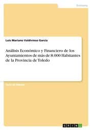 Cover von Análisis Económico y Financiero de los Ayuntamientos de más de 8.000 Habitantes de la Provincia de Toledo