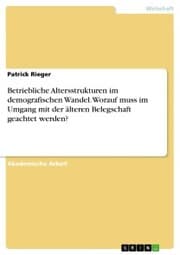 Cover von Betriebliche Altersstrukturen im demografischen Wandel. Worauf muss im Umgang mit der älteren Belegschaft geachtet werden?