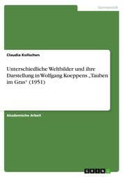 Cover von Unterschiedliche Weltbilder und ihre Darstellung in Wolfgang Koeppens Tauben im Gras (1951)