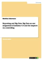 Cover von Reporting and Big Data.Big Data as one megatrend of industry 4.0 and the impacts on controlling