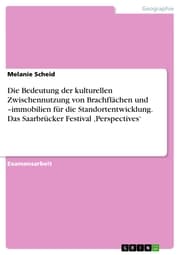 Cover von Die Bedeutung der kulturellen Zwischennutzung von Brachflächen und -immobilien für die Standortentwicklung. Das Saarbrücker Festival ¿Perspectives'