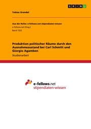 Cover von Produktion politischer Räume durch den Ausnahmezustand bei Carl Schmitt und Giorgio Agamben