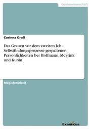 Cover von Das Grauen vor dem zweiten Ich - Selbstfindungsprozesse gespaltener Persönlichkeiten bei Hoffmann, Meyrink und Kubin