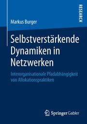Cover von Selbstverstärkende Dynamiken in Netzwerken