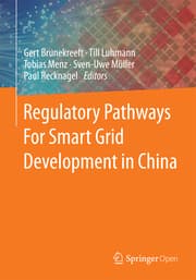 Cover von Regulatory Pathways For Smart Grid Development in China
