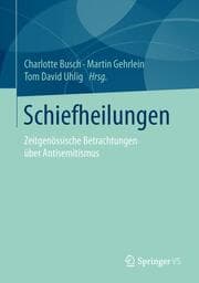 Cover von Schiefheilungen
