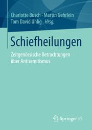 Cover von Schiefheilungen