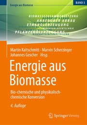 Cover von Energie aus Biomasse