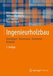 Cover von Ingenieurholzbau