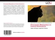 Cover von Principales Mielopatías en Felinos Domésticos