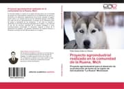 Cover von Proyecto agroindustrial realizado en la comunidad de la Ruana, Mich