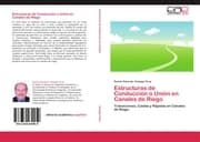 Cover von Estructuras de Conducción o Unión en Canales de Riego