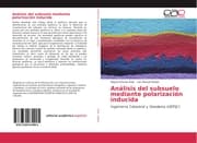 Cover von Análisis del subsuelo mediante polarización inducida