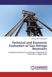 Cover von Technical and Economic Evaluation of Gas Storage Reservoirs