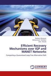 Cover von Efficient Recovery Mechanisms over IGP and MANET Networks