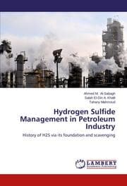 Cover von Hydrogen Sulfide Management in Petroleum Industry
