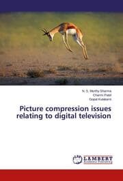 Cover von Picture compression issues relating to digital television