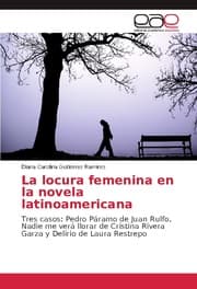 Cover von La locura femenina en la novela latinoamericana