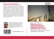 Cover von Efectos de la nitruración por implantación en alambre de acero