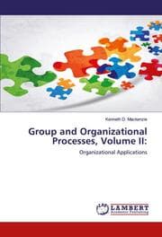 Cover von Group and Organizational Processes, Volume II: