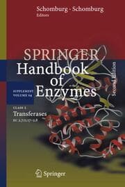 Cover von Class 2 Transferases