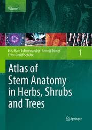 Cover von Atlas of Stem Anatomy in Herbs, Shrubs and Trees