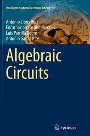 Cover von Algebraic Circuits