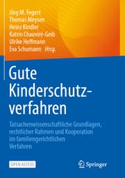 Cover von Gute Kinderschutzverfahren